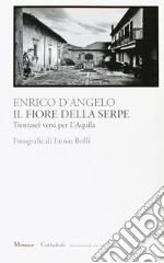 D'Angelo Enrico