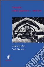 Giustolisi Luigi; Marrone Paolo