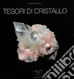Fantazzini Giorgio; Forti Paolo