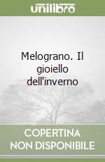 Bernardini Massimo