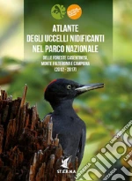 Ceccarelli Pier Paolo; Gellini Stefano; Londi Guglielmo