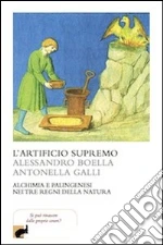 Boella Alessandro; Galli Antonella