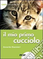 Guarnieri Annarita