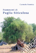 Formica Carmelo; Maffei M. (cur.)