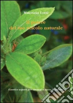 Lotti Maurizio