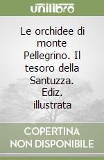 Bertolini Vincenzo