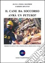 Manfredi Bianca E.; Bonanno Fabrizio