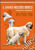 Valle Paolo; Caterino M. Cristina