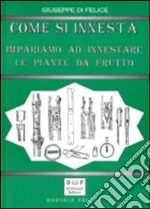 Di Felice Giuseppe