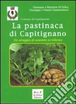 Di Felice Giuseppe; Di Felice Maurizio; Commentucci Giuseppe