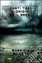 Salusso Gabriele; Tomatis P. G. (cur.)