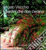 Vecchio Angelo