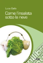 Gallo Luca