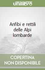 Leandri Fausto; Scieghi Gianfranco