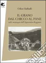 Raffaelli Odino