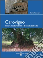 Pecoraro Ilaria; Selvaggi G. (cur.)