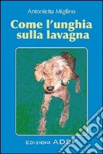 Miglino Antonietta