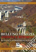 De Nardi Alessandro; Trivellin Samuele