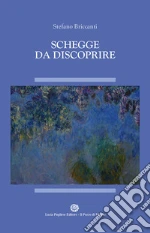 Briccanti Stefano