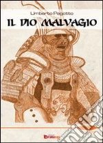 Pagotto Umberto; Vizzino A. (cur.)