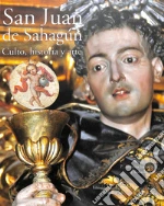Iturbe Saz A. (cur.); Tollo R. (cur.)