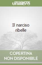 Venditti Carla; Centro missionario francescano delle Marche (cur.)