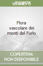 Gubellini Antonio; Pinzi Morena; Corinaldesi G. (cur.); Di Massimo S. (cur.); Lodovici C. (cur.)