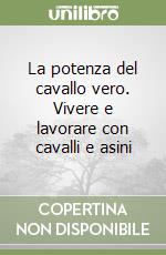 Lanz Martin