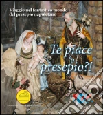Serroni Giuseppe; Casillo G. (cur.); Piccinno G. (cur.); Cirillo A. (cur.)