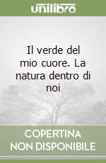 Montagna Angelica