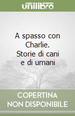 Stuppia Concetta