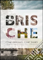 Comitato editoriale parrocchia di Brische (cur.)
