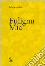 Maggiolini Tullio; Bosi F. (cur.); Laureti L. (cur.)