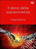 Figuccia Sergio