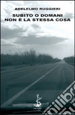 Ruggieri Adelelmo