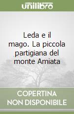 Detti Ermanno; Innocenti Roberto