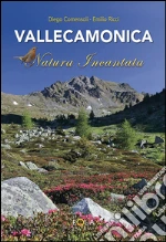 Commensali Diego; Ricci Emilio