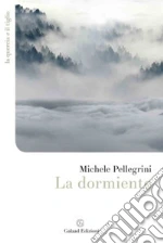 Pellegrini Michele