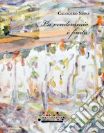 Sirna Calogero