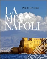 Iervolino Danilo