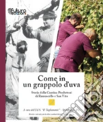 I.I.S. Il Tagliamento di Spilimbergo (cur.); Massaro U. (cur.)