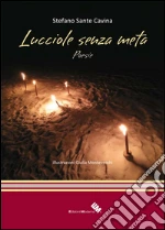 Cavina Stefano Sante