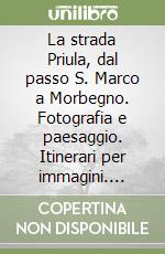 Mazzoni Gianpiero; Scetti S. (cur.)