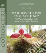 Bernardini Andrea