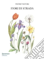 Testori Pietro