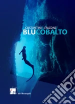 Costantini Laura; Falcone Loredana