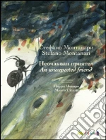 Montanari Stefano