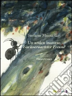 Montanari Stefano