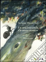 Montanari Stefano