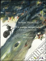 Montanari Stefano
